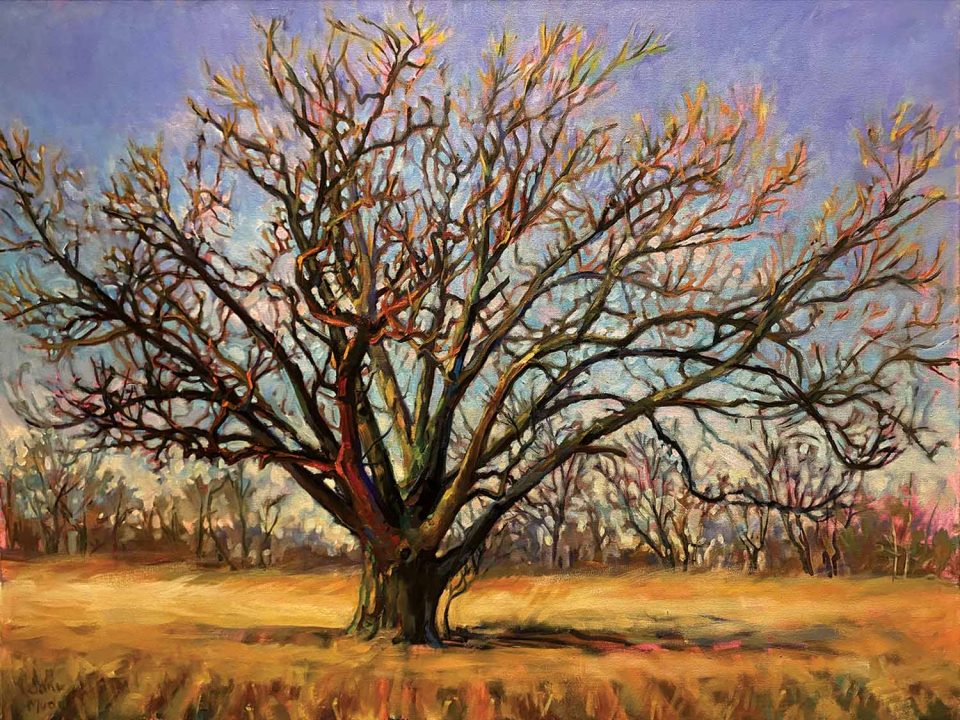 Pecan Tree